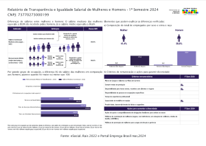 Romazi - Sua energia nossa marca Relatório de Transparência e Igualdade Salarial de Mulheres e Homens 2024  